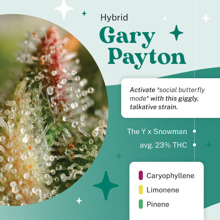 Gary Payton - 3 Samen (fem.)