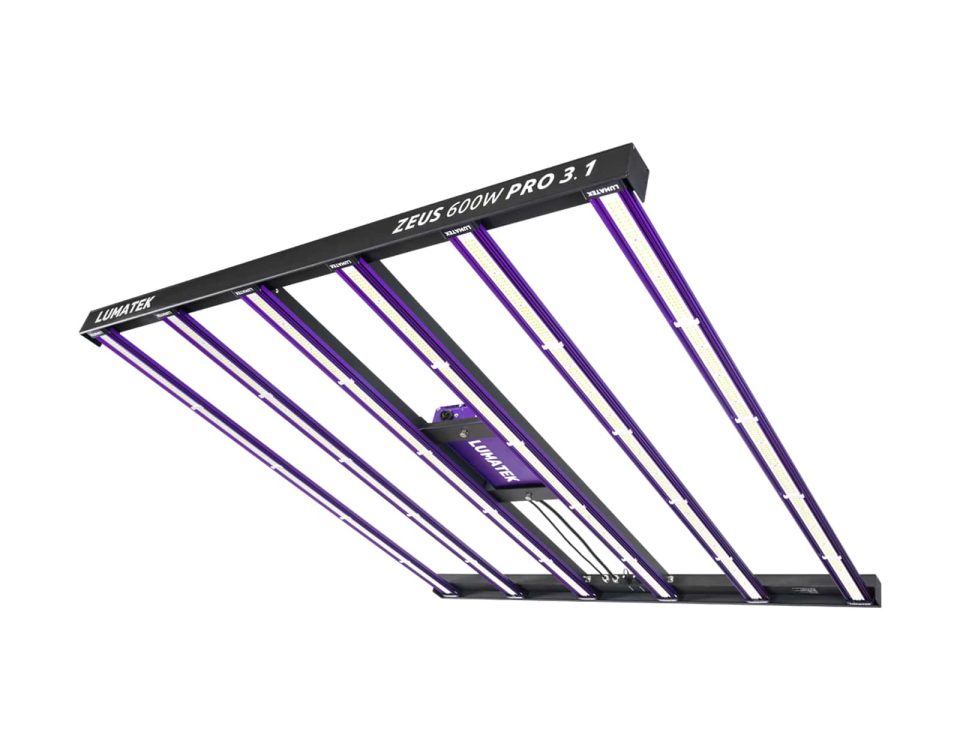 LUMATEK Zeus 600W Pro 3.1